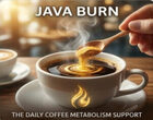 Java Burn