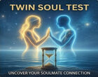 Twin Soul Test