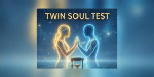 Twin Soul Test